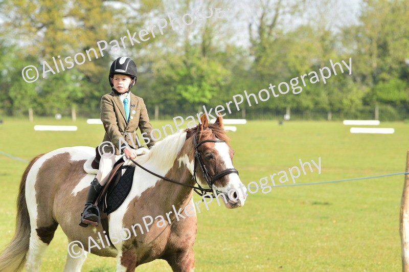 20260426-0854 - Class 18 - Novice Showing