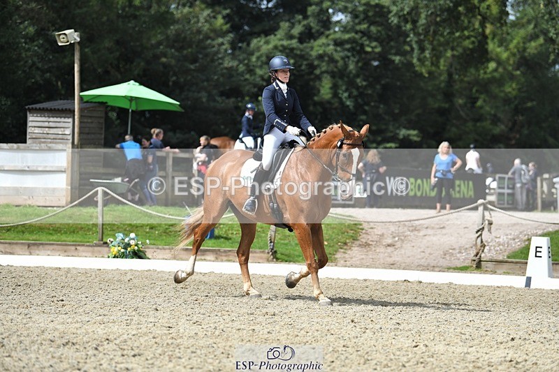 230812-112700-03625 - Cls 6 Novice Silver 10.30 to 11.55 break