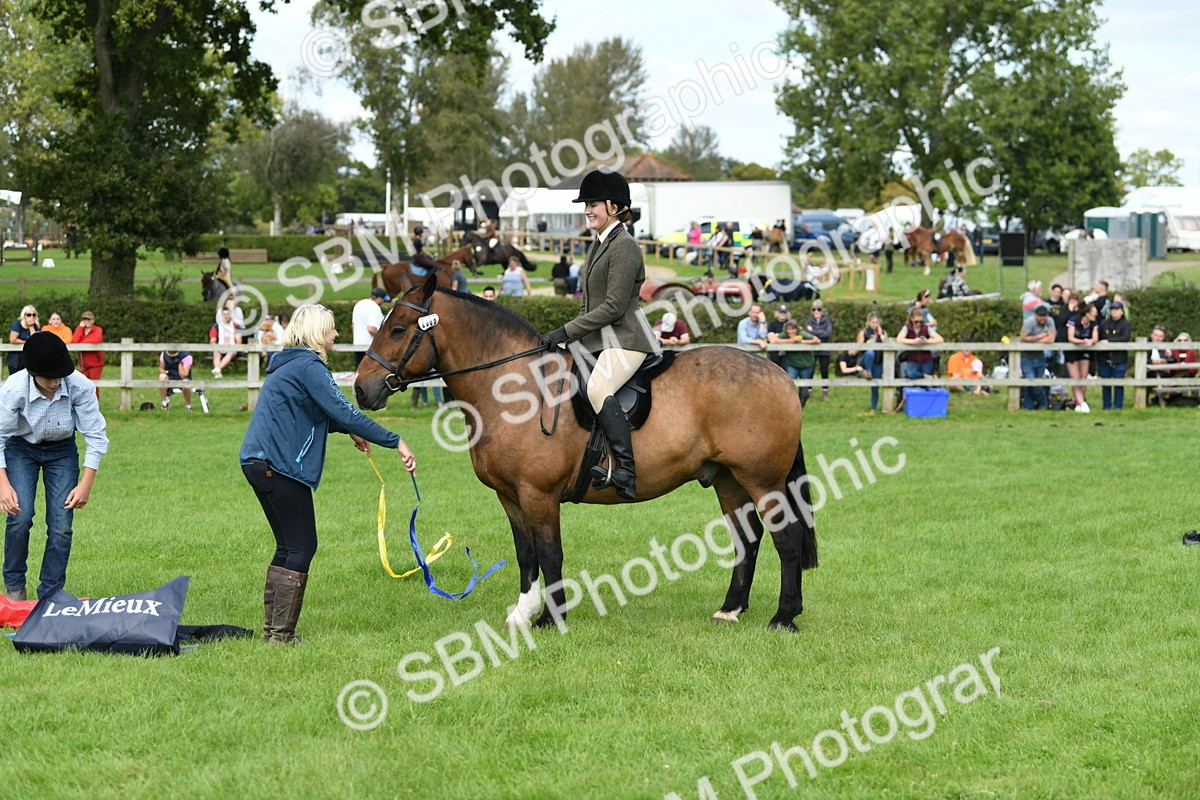 SBM_46861 - S12 - Family Horse & Pony