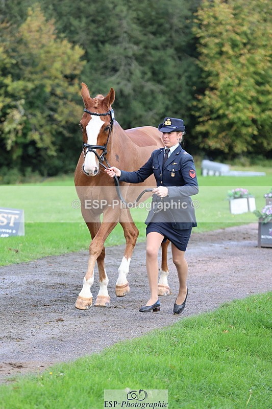 251026A-103305-23091 - E-387-Vittoria.Panizzon