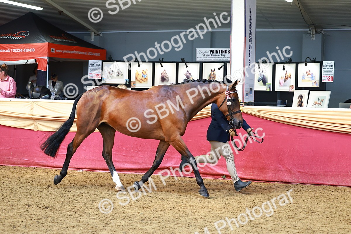 SBM_18600 - Class 903 - Sup Final - IH Pre Vet