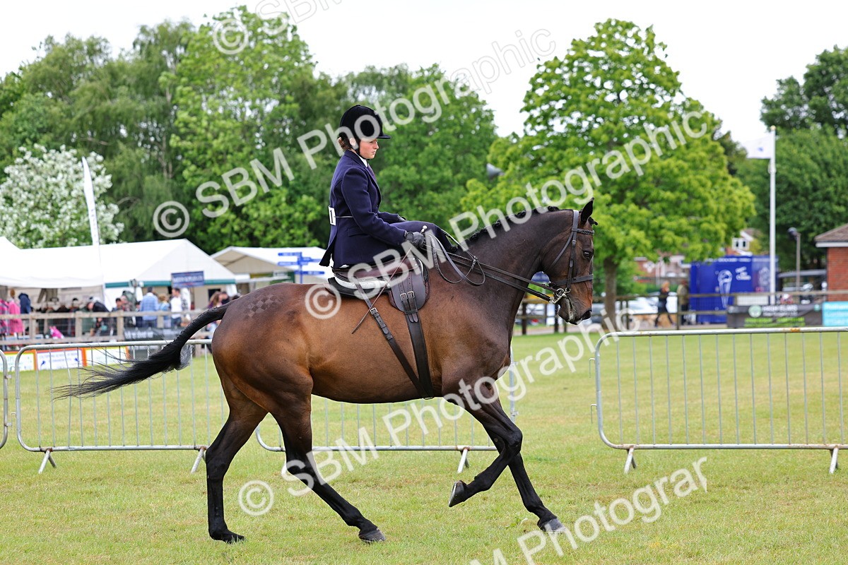 SBM_02814 - Class 9-11 Side Saddle including LIHS Rising Star Ladies Show Horse