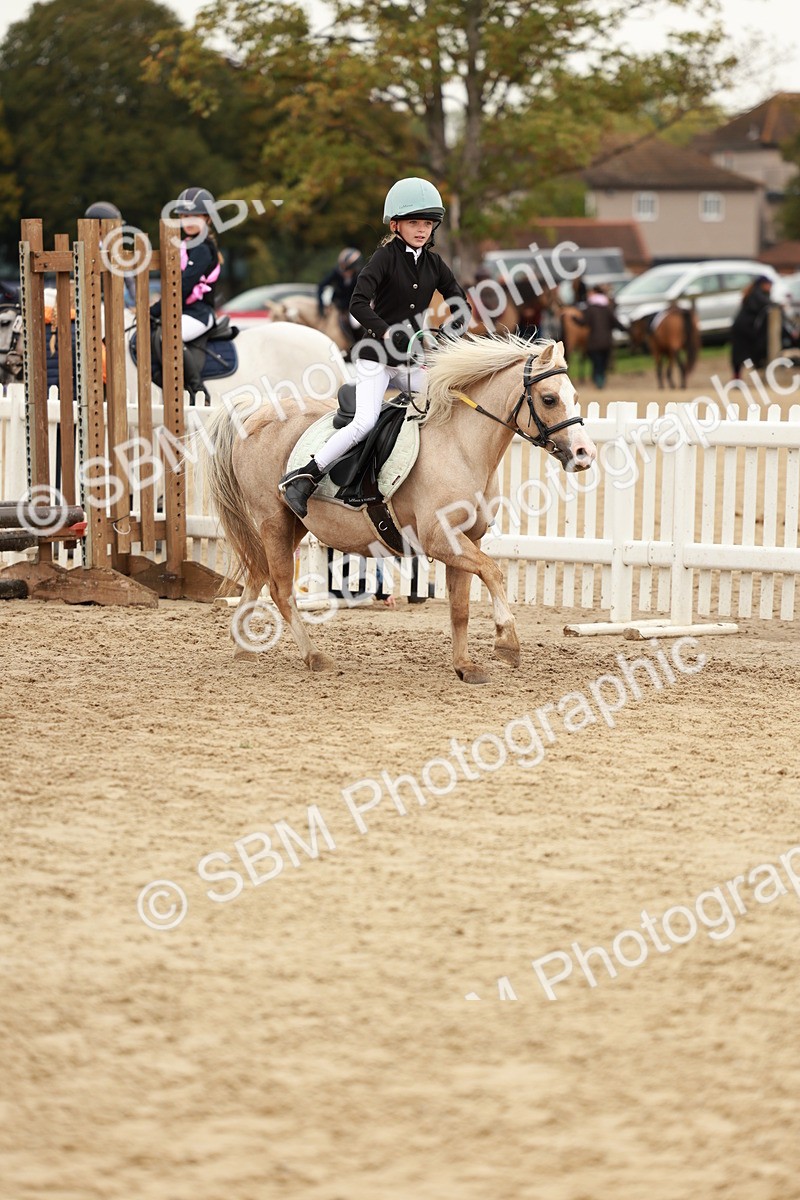 SBM_57917 - J11 - Junior Pony 50cm Championship