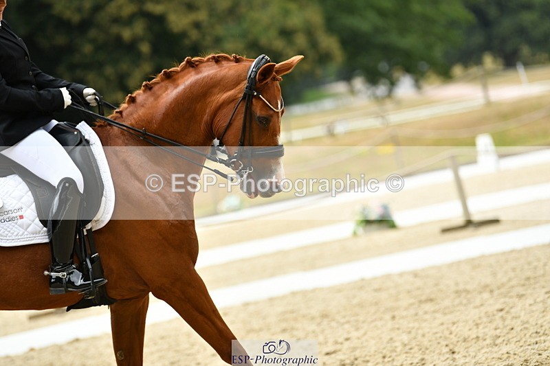 250718A-140731-01991 - 068-Stacey.Escrig-JOIE.DE.VIVRE.III