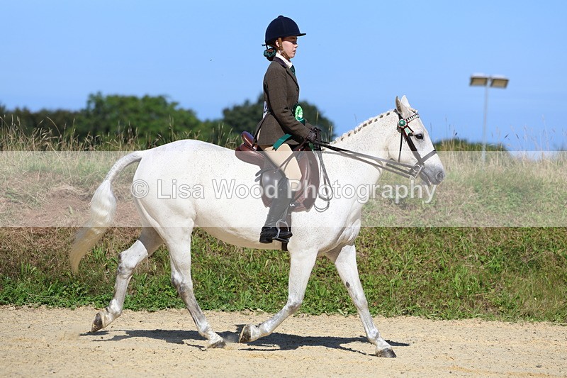 3E7A7994 - Class 14: Tack and Turnout