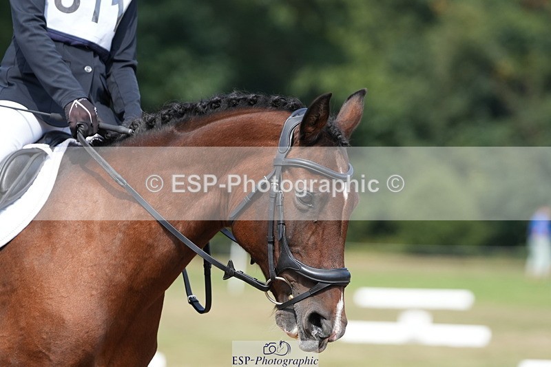 250823A-144206-32146 - PC70 Ride Off