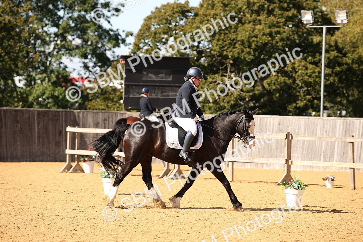 SBM_24230 - D5 - Small Tour Championship - Intro C