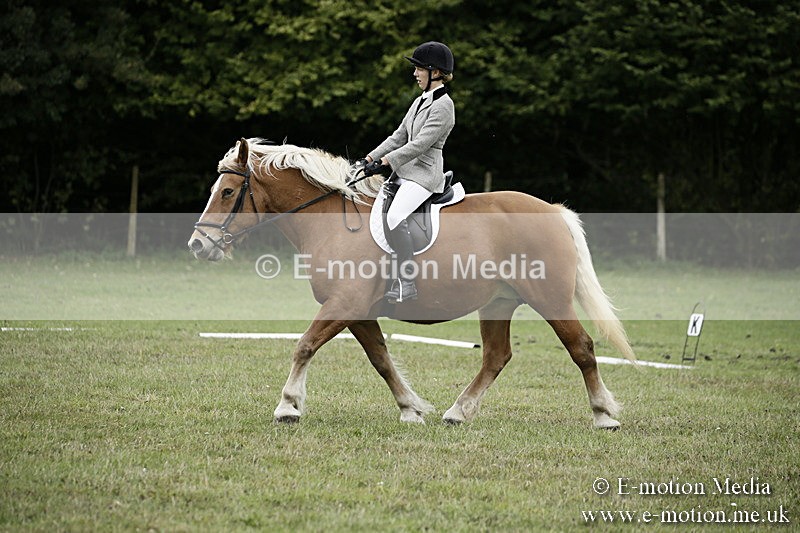 BVR080918 85 - BVRC Novice Dressage & CR 08/09/18
