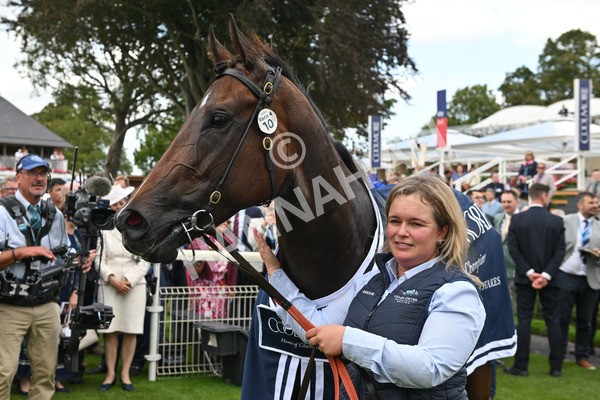 220825-188 Asfoora - Race 4 3.35pm Coolmore Wootton Bassett Nunthorpe Stakes