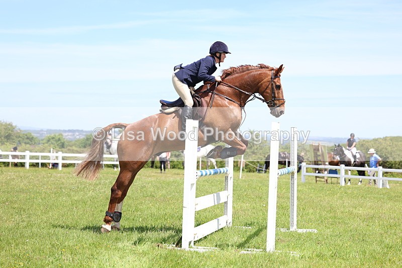 3E7A1251 - Class 12: Senior Foxhunter/1.20 open