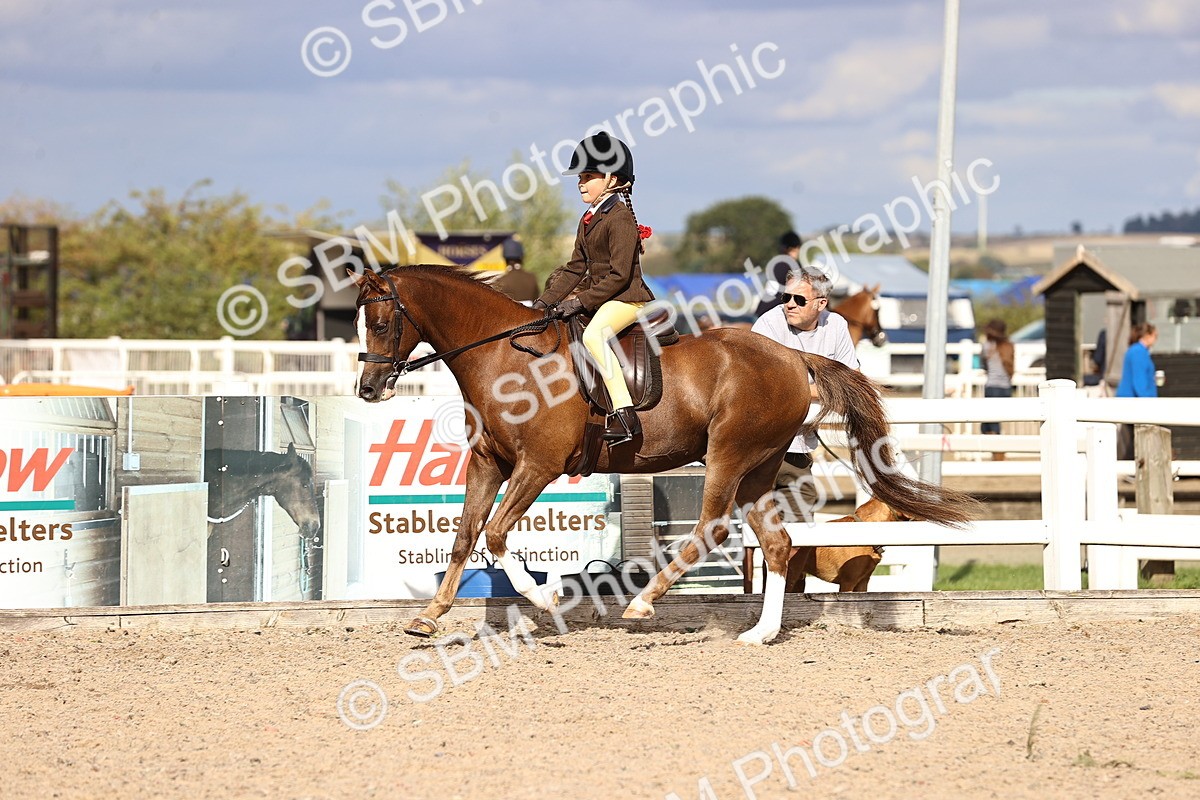 SBM_18043 - Class 422 - Equitation (Best Rider) Jnr
