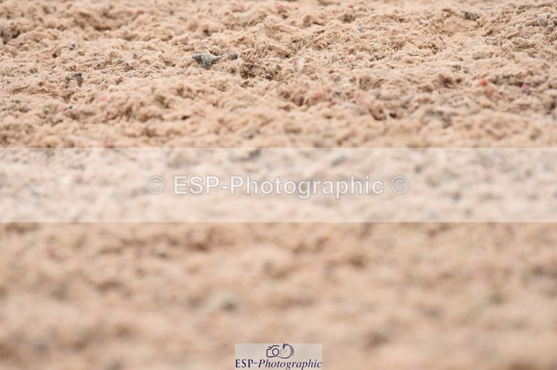 230708A-114758-01665 - Prelim 7