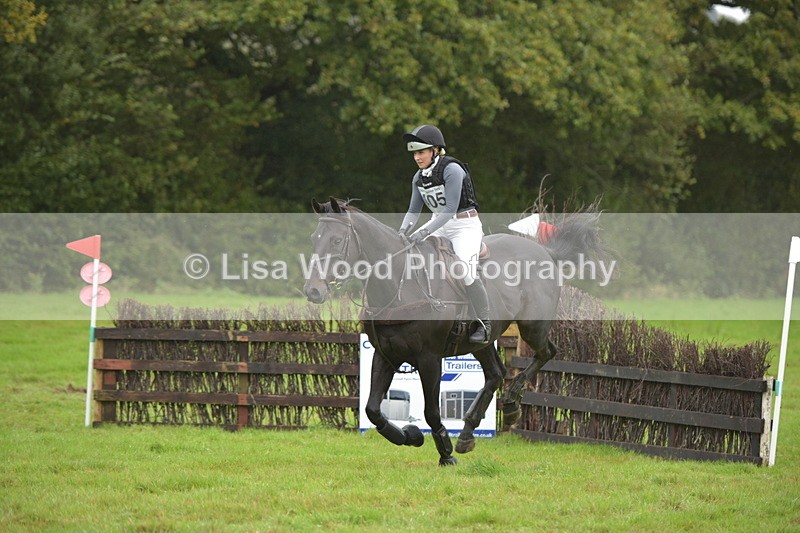 RAY_0226 - Class 4: 80cm: Double of Brushes