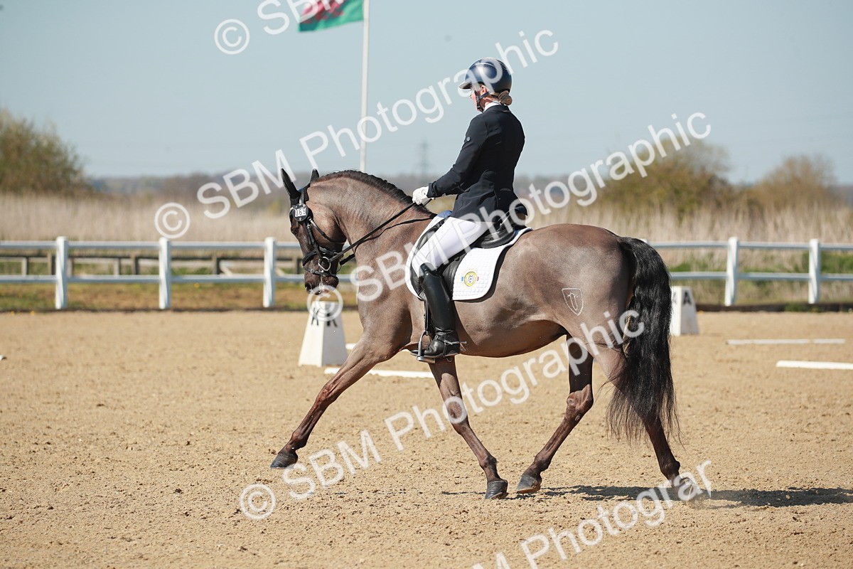 SJ3_1591 - Class 2-5-4-6-7 - Paso Doble-Golega-Sevilla-Lisboa-Novato