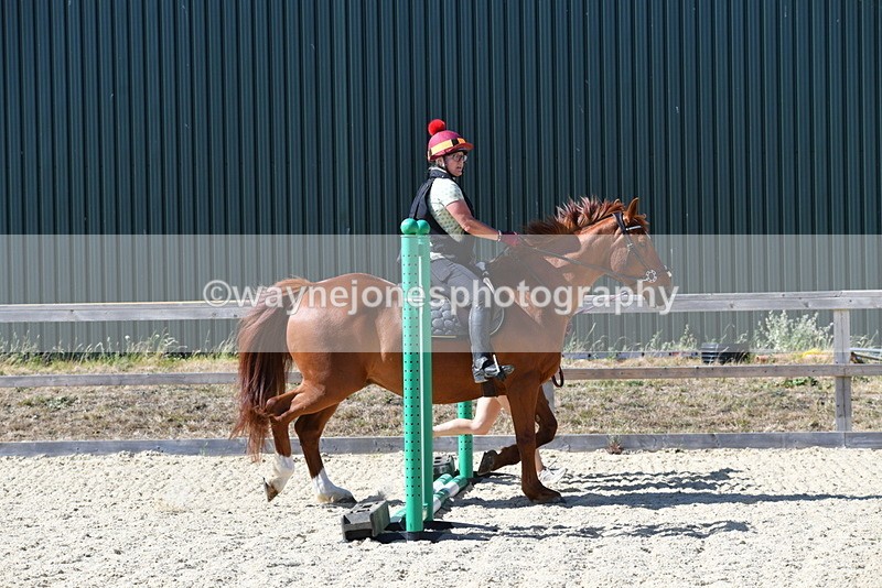 WJ5_5344 - Poles on the Floor