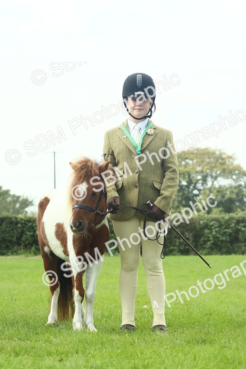 SBM_66428 - S34 - Rehabilitated Rescue Horse & Pony In Hand & Ridden