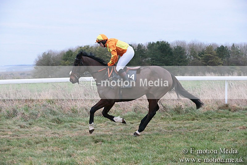 PtP 060119 518 - Larkhill Racing Club - Point-to-Point- 06/01/2019
