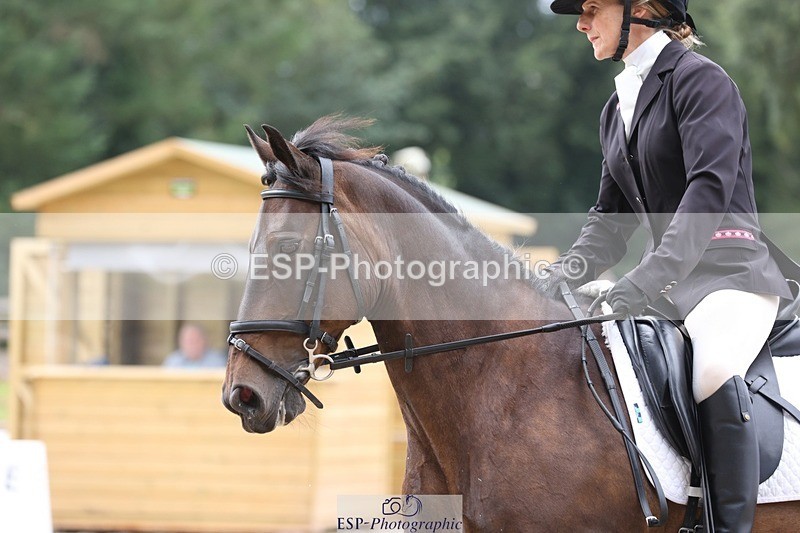 230812-122401-04004 - Cls 5 Novice Bronze 11.15 to 12.50 break