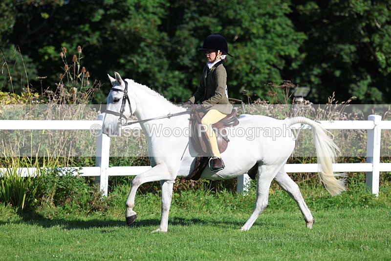 3E7A7600 - Class 1: Novice Working Hunter Pony