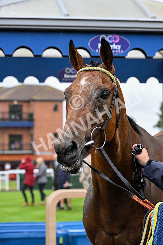 150725-Race 4-Without Flaw-0651 - Race 4