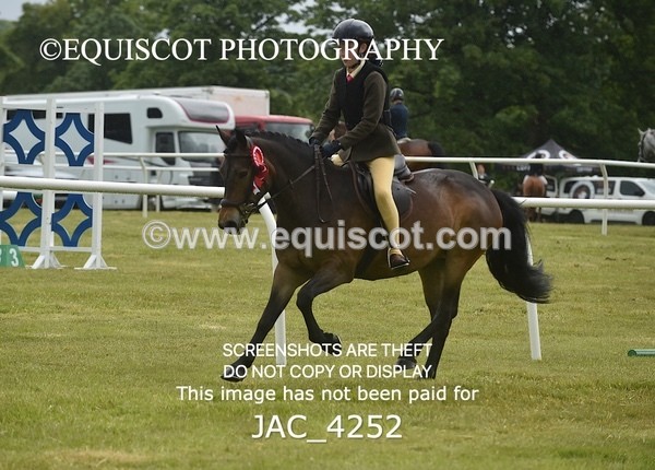 JAC_4252 - WORKING HUNTER CHAMPIONSHIP