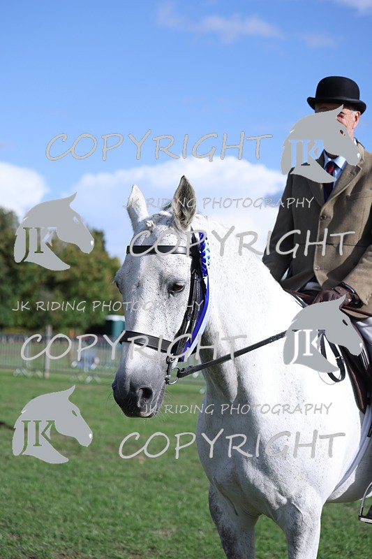 APP_4192 - Class 15a/b Pony club pony/Riding club horse