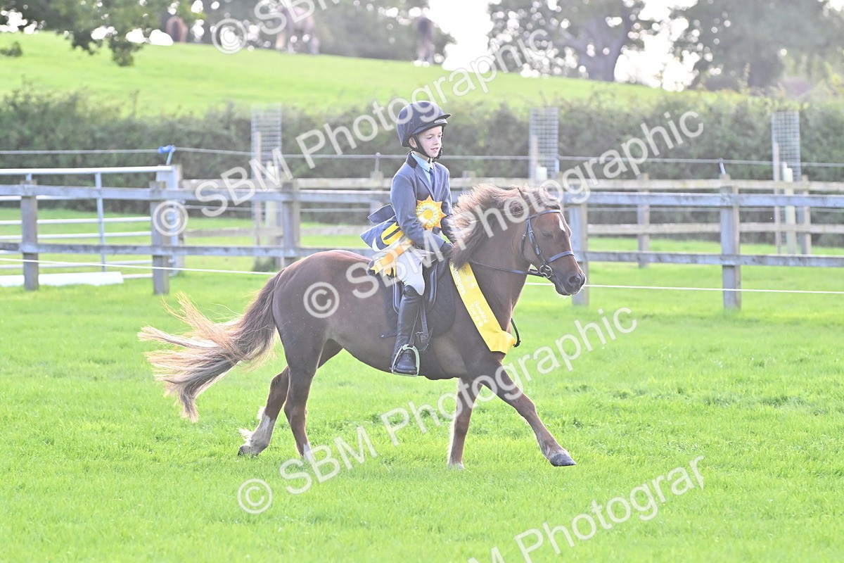 SBM_50378 - S21 - Novice & Newcomers First Ridden