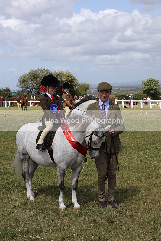 1X9A5497 - M&M Mini Ridden Championship