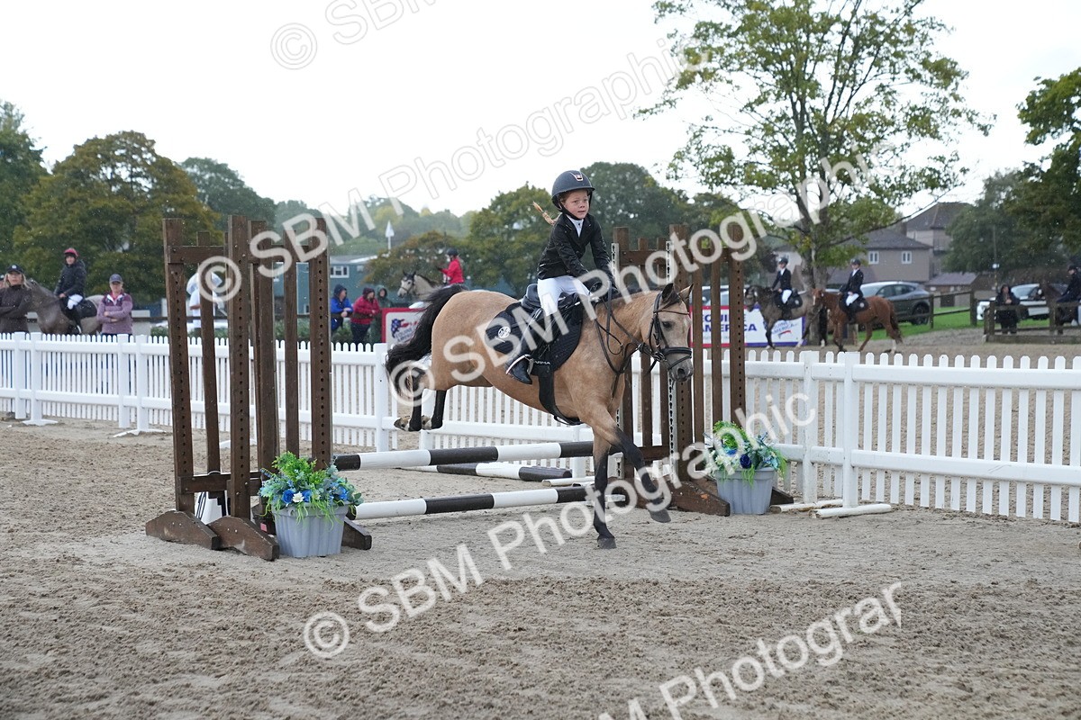 SBM_00163 - J53 - Clear Round 40cm