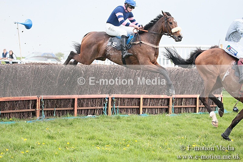 PtP 210418 369 - South & West Wilts Point-to-Point Larkhill 21/04/18