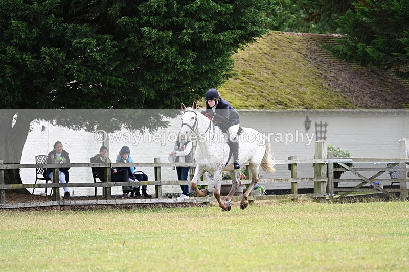 WJ7_8846 - Class 7  Riding Club Show Horse