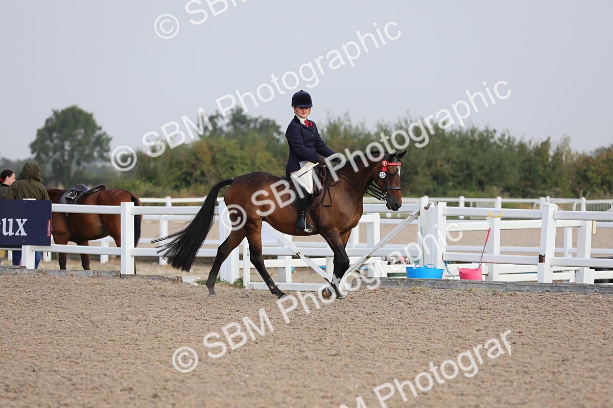 SBM_10656 - Class 303 Ridden Pure Bred Horse/Pony (excl M&M)