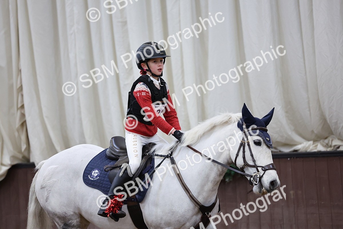 SBM_001205 - Class 3 - Christmas Tree Stakes - 60cm