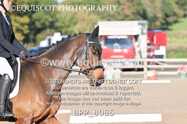 BPP_8085 - LONG ARENA PRELIM 4