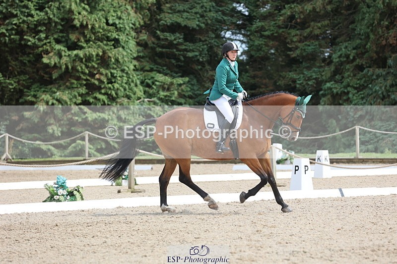 250718A-153027-02586 - 152-Tracy.OKennedy-Wylye.Harlequin