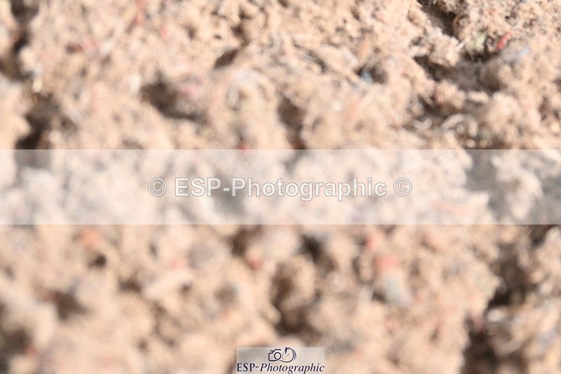 240622A-102217-08181 - Cls 28 BD Music Novice