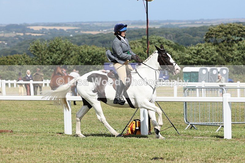 JPP_2476 - Class 19: Working Hunter 60cm