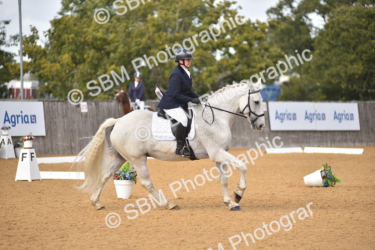 SBM_07785 - D15 - Small Tour Championship Novice 1