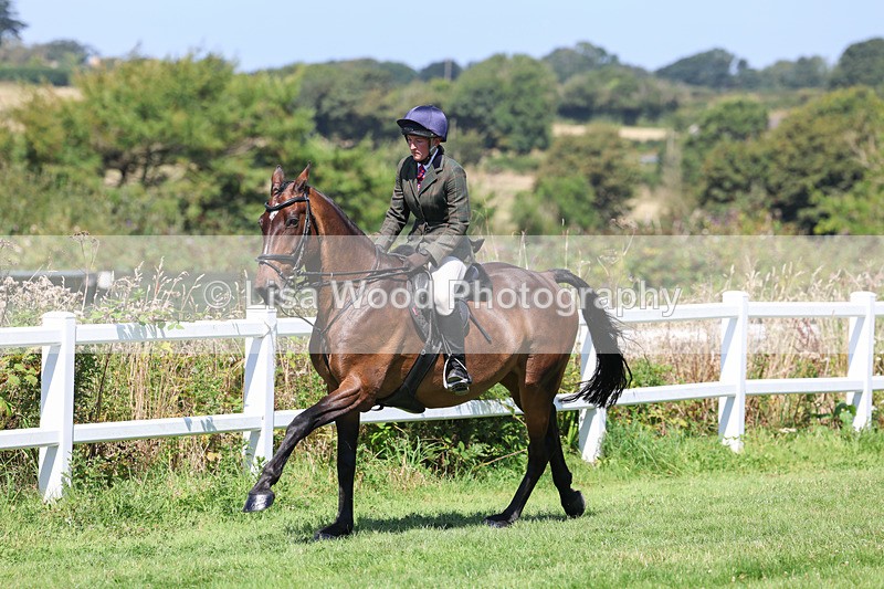 3E7A9010 - Class 6: Open Working Horse