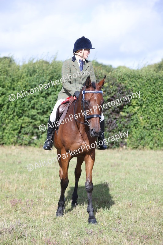 20250831-0931 - Class 14 - Ex Racehorse