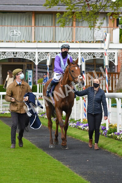 yr22052021r2-31 - Race 2 2.40pm William Hill Brontë Cup