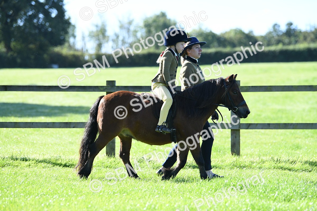 SBM_36789 - S18 - Novice & Newcomers Lead Rein Pony
