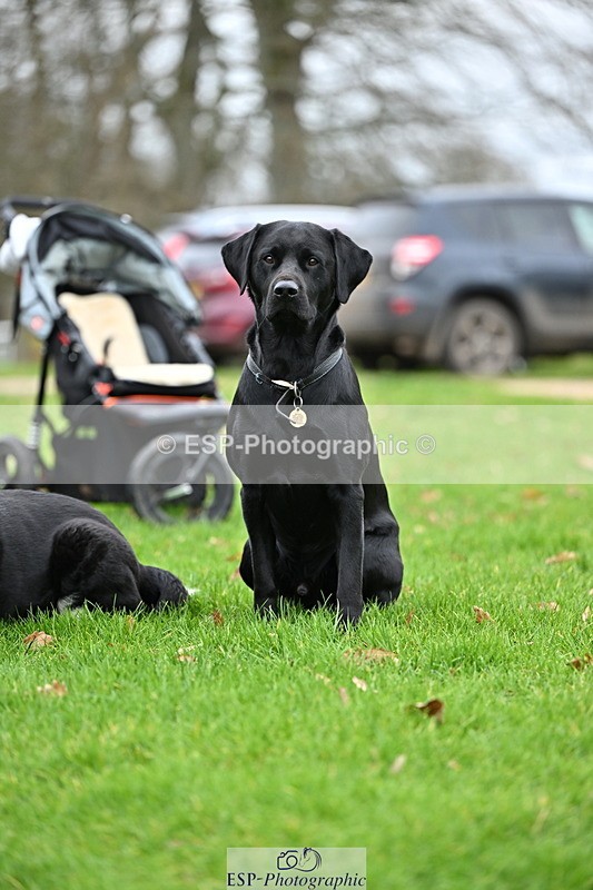 250201A-105842-00309 - Cls 02 Local Horse 100cm