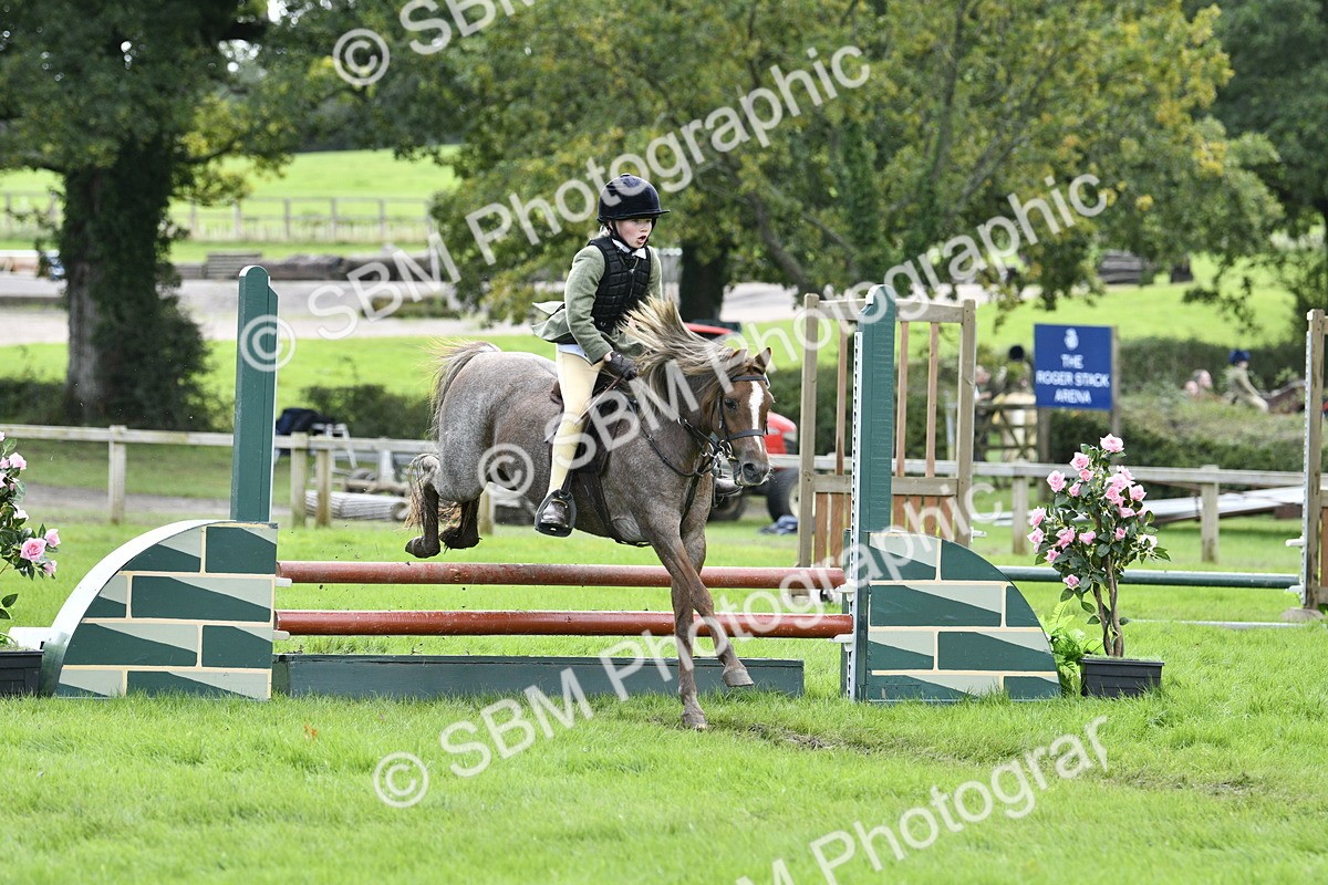 SBM_41262 - S32 - Mountain & Moorland Working Hunter Pony