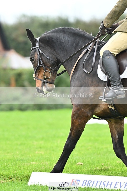 241024-104726-02276 - 311-Janine.Paterson-WILLOWAY.AMIGO