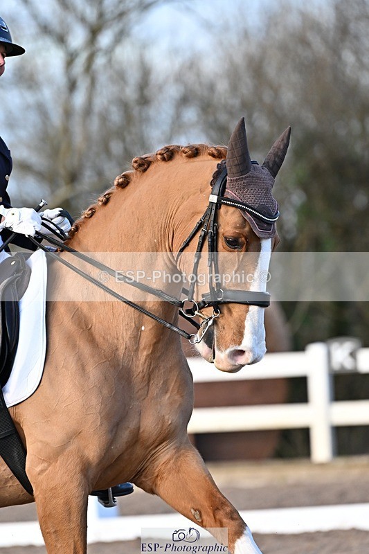 241214-145144-02987 - 109-Katharine.Lewis-Albertho.B