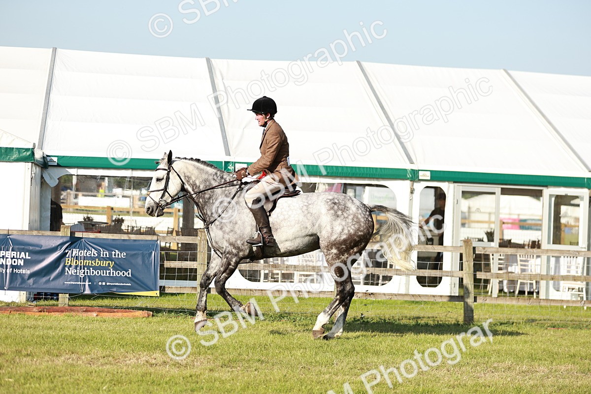 SBM_20102 - Class 115-116 - LIHS BSHA Rising Star Working Hunter & Show Horse
