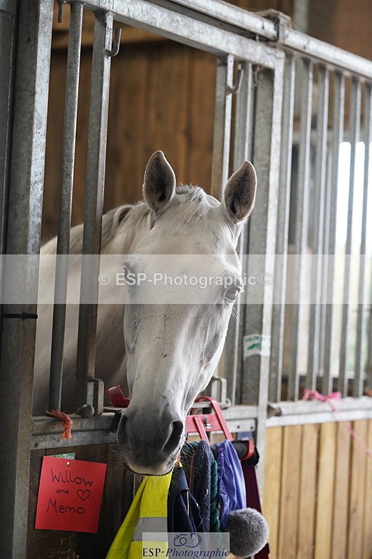 240809A-134702-01021 - Stable Shots