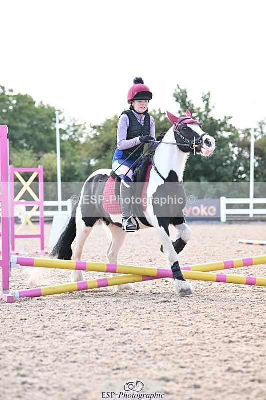 250821B-145137-00876 - Group D - Thomasina