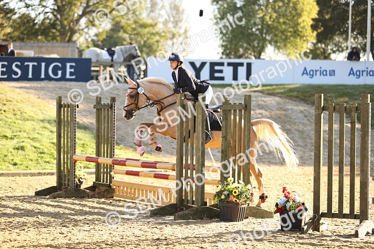 SBM_34596 - J38 - Senior 80cm Championship